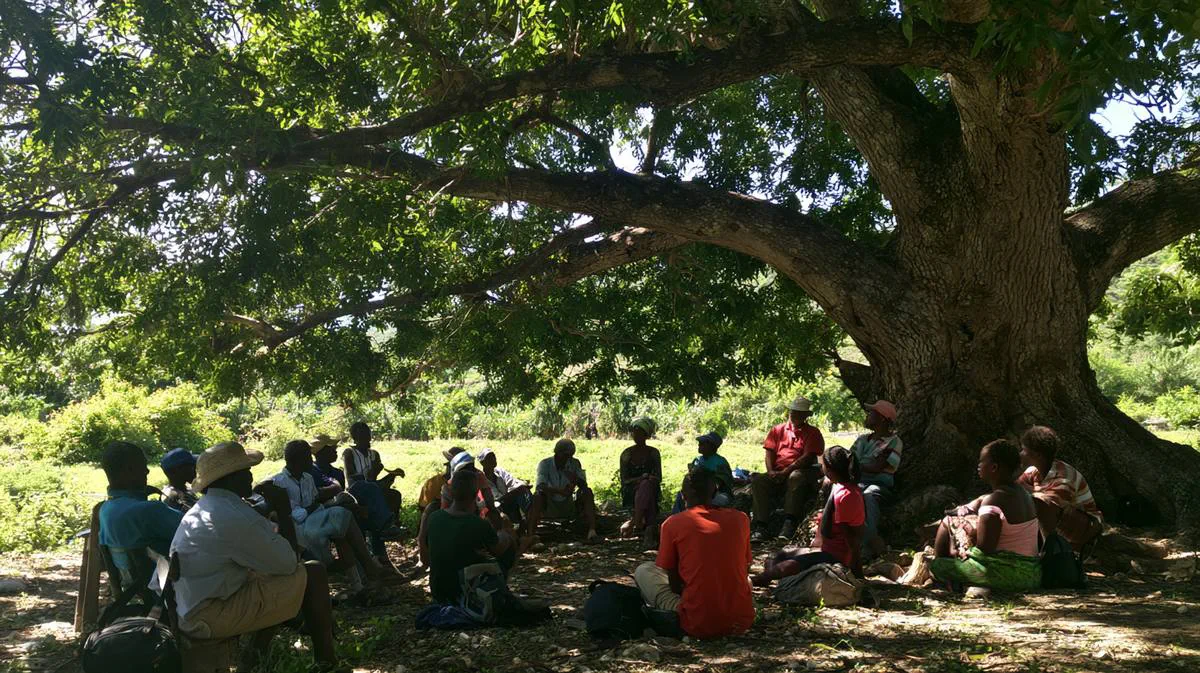 Grower training workshop under a mango tree